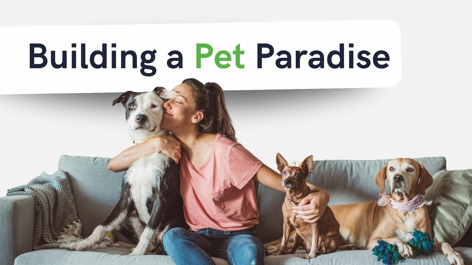 Social Paws: connect with other pets owners in Hubmee network