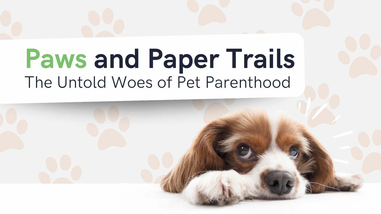 Untangling Pet Parenthood: A Sneak Peek into Your Pet's Digital Haven